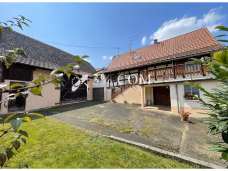 3%com maison alsacienne avec dépendance et jardin