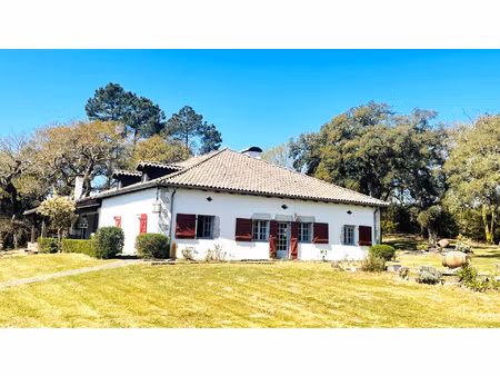 airial rénové dans un havre de paix  394m2 habitables sur pl