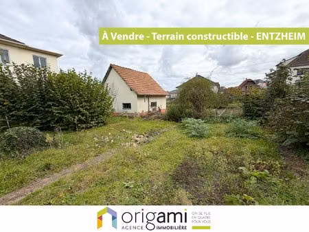 nouveauté origami à entzheim