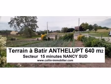 en vente terrain constructible 6 4 ares – 61 000 € |anthelupt