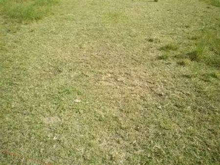 achat terrain 363m² st georges de didonne 17110