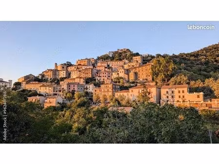 appartement 5 pièces 91 m²