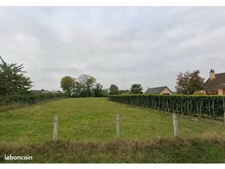 terrain constructible