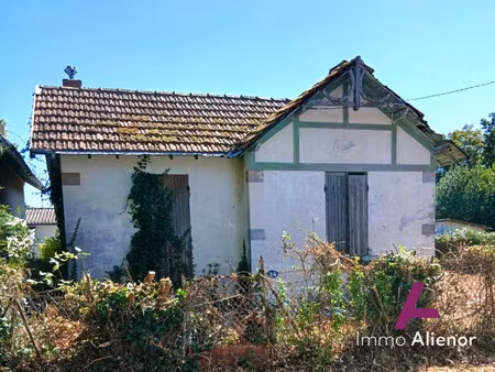 maison ancienne à rénover - un trésor caché à redécouvrir