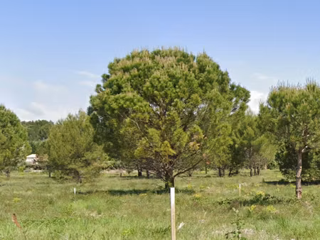 vente maison neuve 85 m² à caromb (84330)  290 000 €