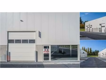 surface industrielle à louer à piepelboomstraat 86 tienen (rbu76761)