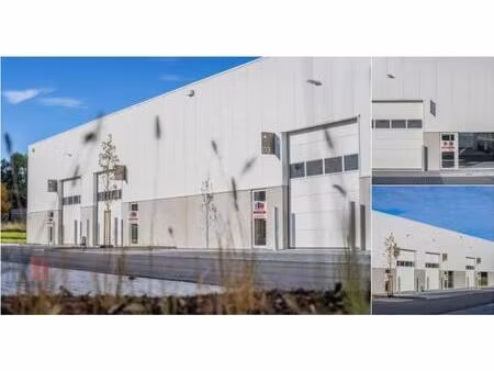 surface industrielle à louer à piepelboomstraat 86 tienen (rbu76756)