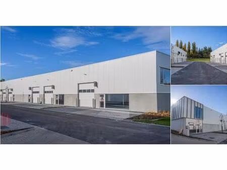 surface industrielle à louer à piepelboomstraat 86 tienen (rbu76757)