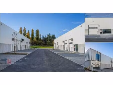 surface industrielle à louer à piepelboomstraat 86 tienen (rbu76758)