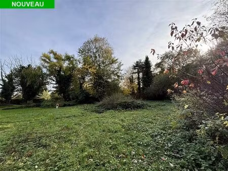 terrain à bâtir à vendre de 2520 m² à walhain-saint-paul (vbd56184)
