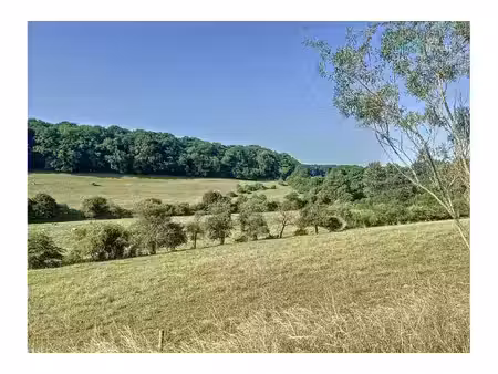 terrain à vendre à rue gabriel sellière chimay (vbd56314)
