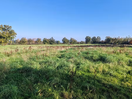 terrain saint andre sur vieux jonc 679 m2