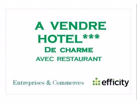 vente local commercial