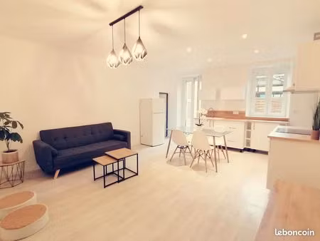 joli t3 rénové  jardinet  coeur de ville