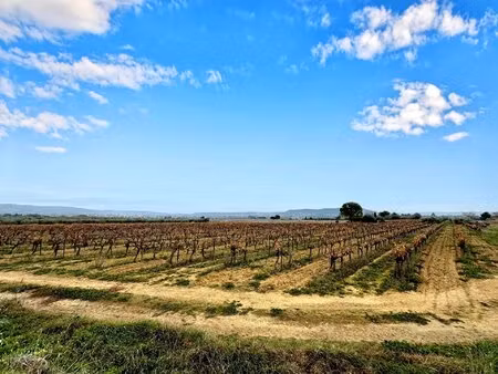 terrain non constructible de 14520 m2