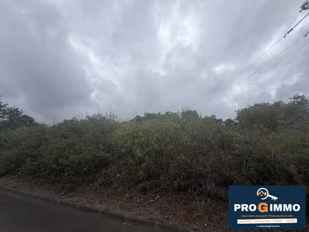 terrain constructible grande superficie st leu