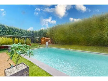 maison t6 piscine  jardin  hangar