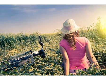 vente terrain 355 m² à montfort-le-gesnois (72450)  30 000 €