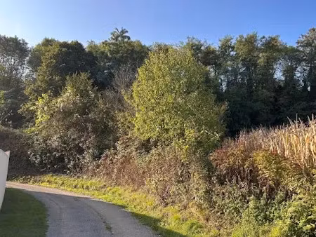 vente terrain 1199 m² à saint-sorlin-en-valloire (26210)  59 000 €