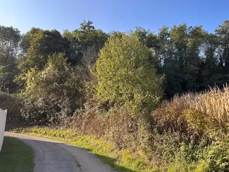 vente terrain à batir 1199 m² à saint-sorlin-en-valloire (26210)  59 000 €
