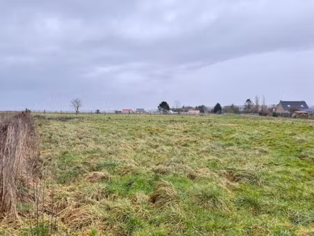 vente terrain 300 m² à flines-lez-raches (59148)  52 600 €