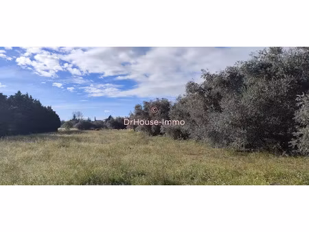 vente terrain 17747 m² à pia (66380)  61 240 €