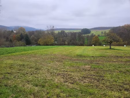 vente terrain 500 m² à roeschwoog (67480)  85 000 €