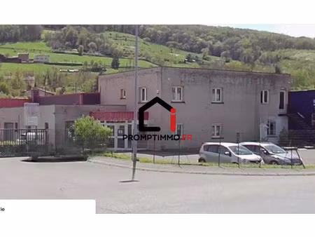 vente locaux professionnels 576 m² à vindry-sur-turdine (69490)  360 000 €