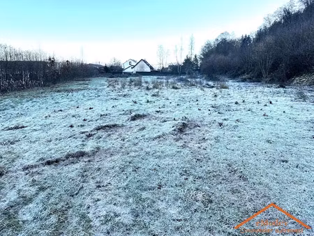 vente terrain 5728 m² à arches (88380)  182 000 €