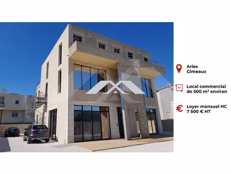 locaux commerciaux 500 m² arles