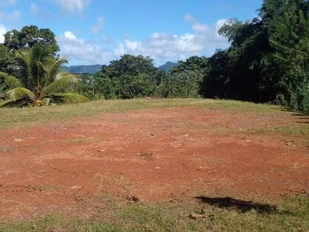a vendre terrain plat au lamentin  quartier palmiste