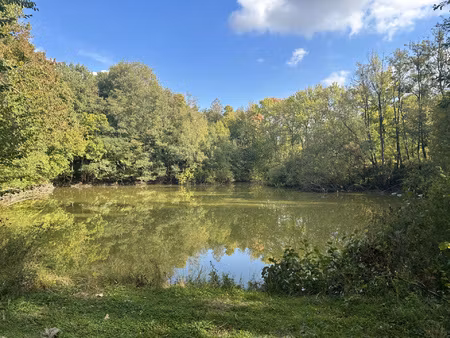 bois et foret a 1 heure d'arras et 30 minutes de saint omer