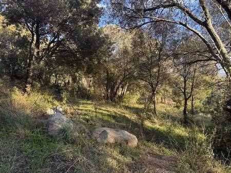 terrain constructible viabilisé à vendre