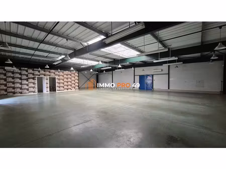 location locaux professionnels 0 pièces 290 m² à montaigu-vendée (85600)  1 990 €