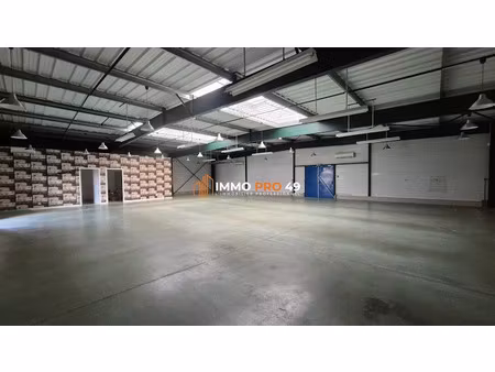 location locaux professionnels 290 m² à montaigu-vendée (85600)  1 990 €