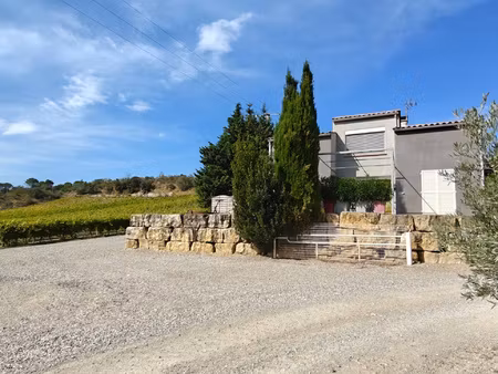proche de limoux - propriété viticole  maison principale  m