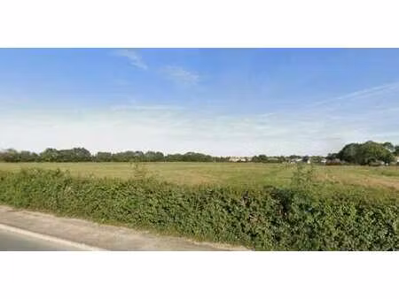 vente terrain au bernard (85560) : à vendre / le bernard