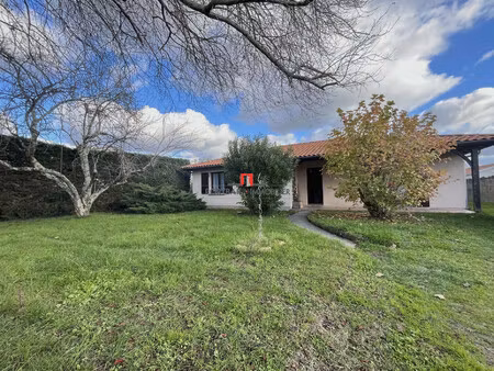 maison à louer saint-andré-de-cubzac