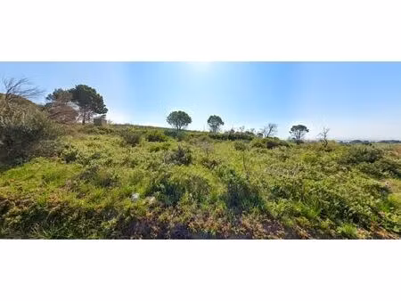 à vendre - à loupian - terrain agricole de 1388m²