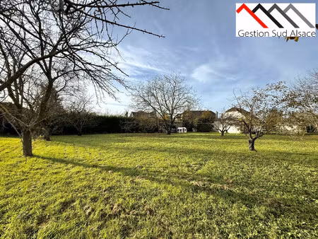 terrain à vendre wittenheim