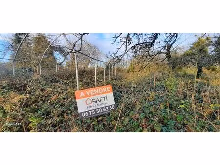 safti mathias patrick conseiller indépendant