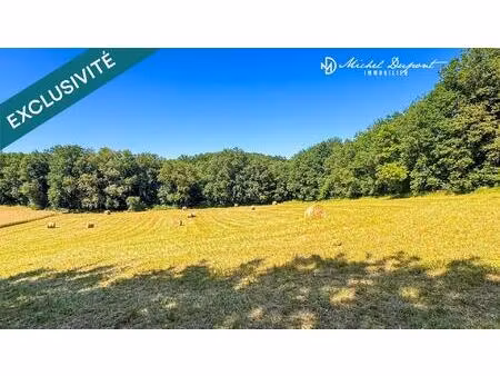 terrain constructible de 4 986 m² à limeuil – vue dégagée et cadre naturel privilégié