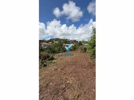 terrain à vendre françois  martinique