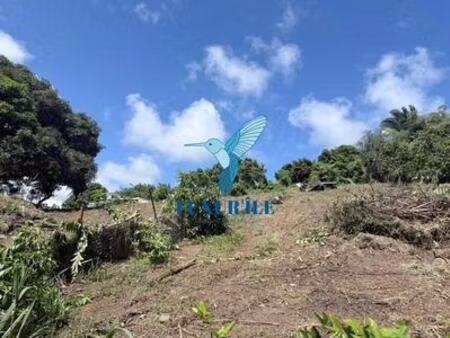 terrain à vendre françois  martinique