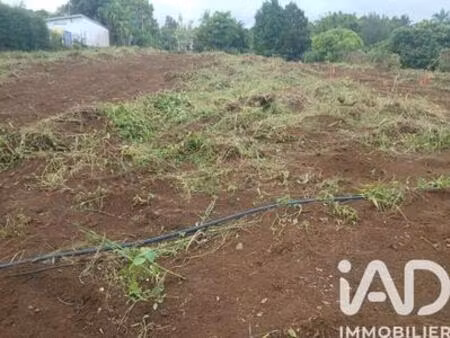 vente terrain 451 m²  réunion