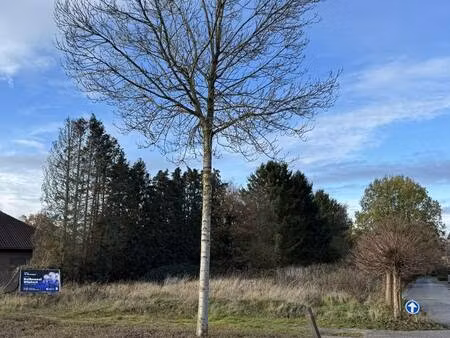 mooi groot bouwperceel  ca. 1555 m²  gelegen naast wzc nethehof