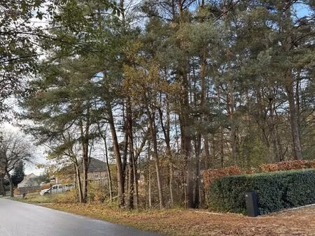 ruime bouwgrond te koop in balen-wezel: ca. 3513 m² op rustige locatie