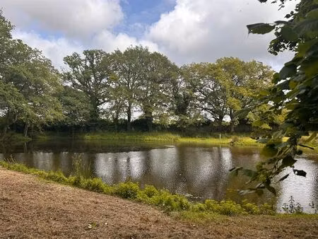 achat maison 12 pièces 520m² marzan 56130