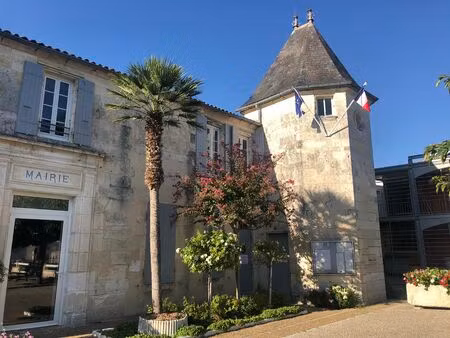 vente terrain 450 m² marennes-hiers-brouage (17320)