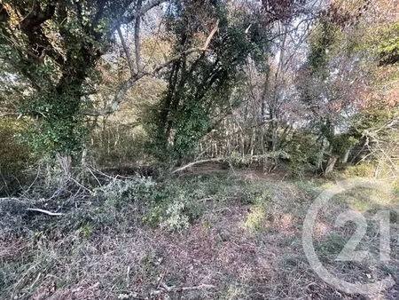 terrain à vendre - 40623 m2 - montpon menesterol - 24 - aquitaine